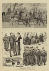 Landagitationen i Irland